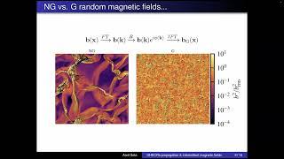 ANITA  Supernova explosions and ISM magnetic fields - Amit Seta