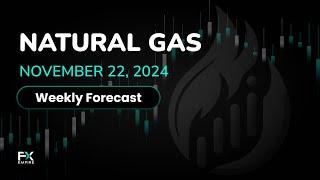 Natural Gas Weekly Price Forecast, Technical Analysis (Nov 25-29): NatGas Has a Positive Week