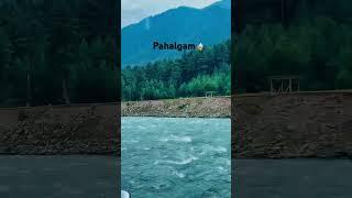 Pahalgam vibes #viral #reels #tranding #shrots #kashmir #travel