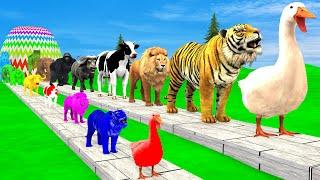 Paint Animals Duck,Tiger,Cow,Lion,Buffalo,Gorilla,Elephant,Dinosaur Fountain Crossing Animal Game