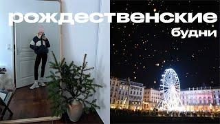 РОЖДЕСТВЕНСКИЕ БУДНИ | ДЕКАБРЬ У ОКЕАНА | ПРОСТОЙ РЕЦЕПТ ШОКОЛАДНЫХ ТРЮФЕЛЕЙ | ANJA LEBEDEVA