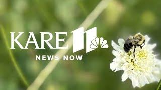 KARE 11 News Now | Afternoon Edition - June 18