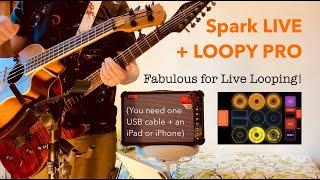 EP153 SPARK LIVE amp + LOOPY PRO: Fabulous for LIVE LOOPING!?