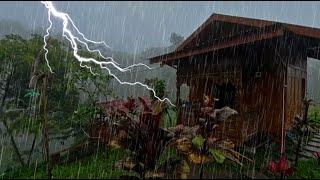 Heavy Rain with Thunder ASMR: Ultimate Sleep and Stress Relief | Rain Carnation