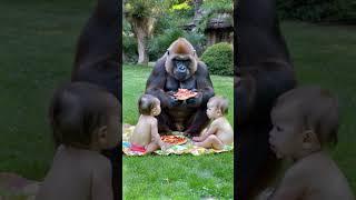 Gorilla and baby have a picnic together.#gorilla #baby#shorts#cute#funny#love#animals