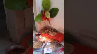 saroj Gupta  jai shree Krishna vaishnav  #likeandsubscribe