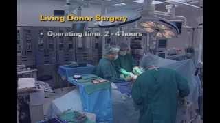 U-M Kidney Transplant Donor - Surgery (5 of 7)