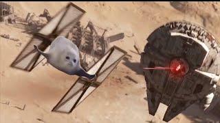 Bouncing Seals In Star Wars!!