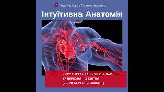 «ІНТУЇТИВНА АНАТОМІЯ» — НАЙТРАНФОРМАЦІЙНІШИЙ КУРС THETAHEALING®.