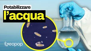 Come si rende potabile l'acqua di fiumi e laghi? I passaggi prima di arrivare ai rubinetti di casa