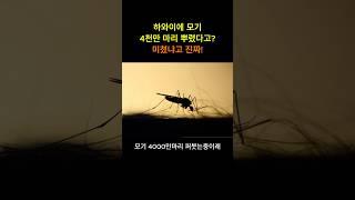 하와이에 모기 4천만마리 뿌렸다고? 도대체왜? #모기