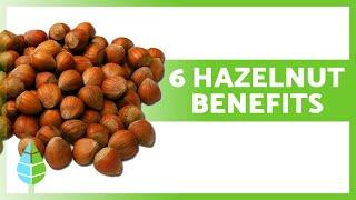 HAZELNUT Health Benefits  Boost Your Health and Well-being