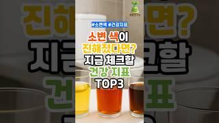 소변 색이 진해졌다면? 지금 체크할 건강 지표 TOP3!(1분요약) #건강 #건강관리 #건강생활 #건강정보