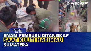 Polisi Gerebek Pemburu Profesional Sedang Kuliti Harimau Sumatera | CRIME FILES