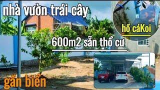 Chủ Xả Tất Tay Trước Tết Ta Hẵn Thêm 200Tr Nhà Vườn Trái Cây Gần Biển Giá Rẻ Chốt Nhanh #nhadat#nha