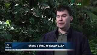 2024 - QYZYLJAR TV - Осень в ботаническом саду