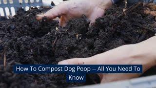 How To Compost Dog Poop -- All You Need To Know