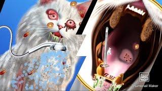 Cat ASMR treatment animation| Sara asmr 1m #short#asmr #asmr #catasmr #asmrsounds