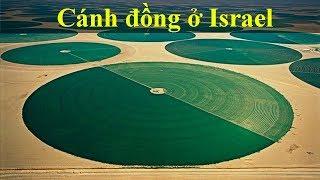 Israel nghèo tài nguyên tại sao vẫn giàu  - Tại sao Mỹ ưu ái Isreal ?