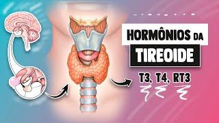 Hormônios metabólicos da Tireoide (T3, T4, RT3) │ Fisiologia Resumida