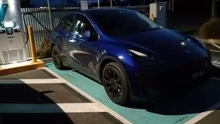 Tesla Model Y Review