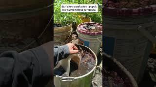 ramuan alami#shorst #caramerawattanaman #berkebun