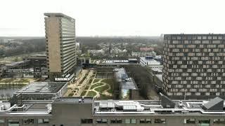 View from IHS, Erasmus University Rotterdam