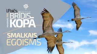 Brīdis kopā (28.10.2024) – SMALKAIS EGOISMS