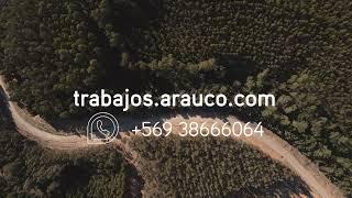 Trabaja con nosotros | Construcción de Caminos Forestales