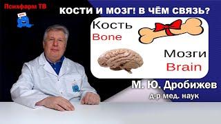 Кости и мозг! В чём связь?
