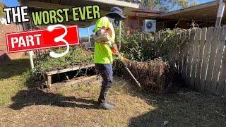 The most OVERGROWN Suburban backyard Ever part 3 Free Mow Fridays