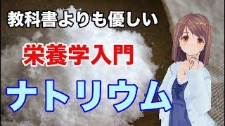 【栄養学入門】ナトリウムの特徴や生理作用、過剰症や欠乏症などを簡単に解説してみた！
