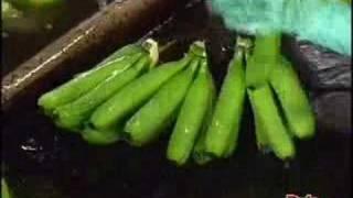 DOLE Banana Harvesting