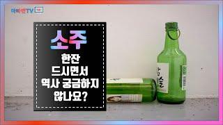 소주 역사 한잔을 마셔 보실래요