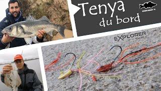 TENYA du BORD - Méga session !!!