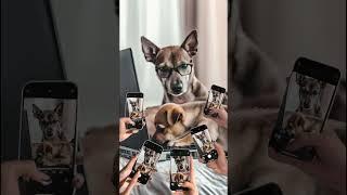 When you try to work from home… but you’re a full-time dog dad too.  #DadLife #fathersday #aiart