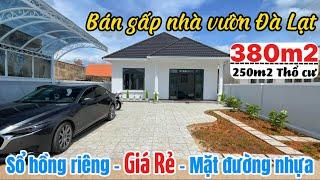 BÁN RẺ NHÀ VƯỜN THÀNH PHỐ ĐÀ LẠT SỔ HỒNG RIÊNG| 380m2 - 350 Thổ cư