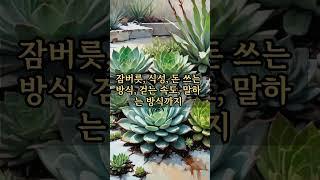 왜 60이 넘으면 친구와 여행을 가면 안 되는 걸까요?|철학의 정원 #명언 #부자의삶 #외도심리