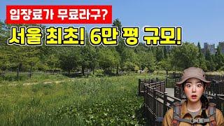 6만 평 규모! 서울에서 숨은 자연을 만나다! | 도심산책 | 대중교통 당일치기 여행ㅣ지하철 여행ㅣ트레킹 코스ㅣ서울산책