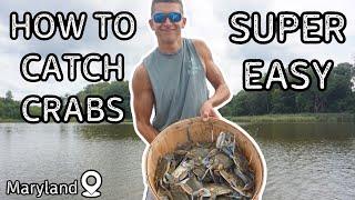 CRABBING in MARYLAND at its Finest! How to catch Blue Crabs (Catch, Clean, and Cook) APS