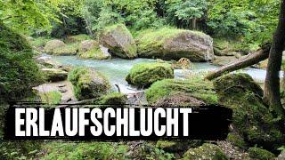 #silentwalking in der  Erlaufschlucht