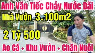 Tập 10 NHÀ VƯỜN BÌNH CHÁNH- Cầu Bình Điền Chỉ 9 Phút ( 3.100m2 ) Đầy Đủ Cây Ăn Trái Trong khu Vườn