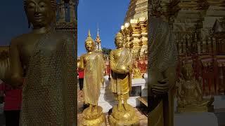 Golden Buddha temple at Doi Suthep Chiangmai #respect #thailand #buddha #mustwatch