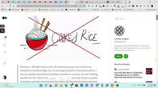 Alert! Be Careful With Cooked Rice Miner- Suspicious Code -cookedrice.io