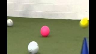 Striking 1 5   hand strike target game mpg
