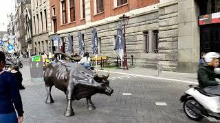 World's oldest and first stock exchange | Amsterdam Stock Exchange (Euronext Amsterdam) | 4K Video