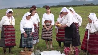 The Crop Fortune-Telling, Smyadovo municipality