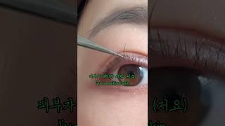 예민한 피부 #속눈썹펌 #lashlifting #gentlelash #Gtls.