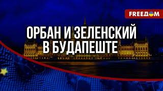  Встреча ЗЕЛЕНСКОГО и ОРБАНА: чего ожидать от ПЕРЕГОВОРОВ с венгерским ЛИДЕРОМ?