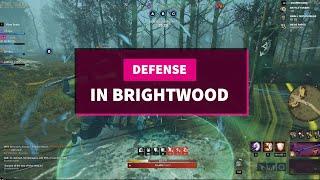 Defense War of Brightwood as an INT TANK in New World